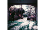 Lomography Purple 120