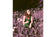 Lomography Purple 120