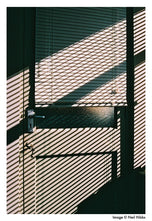 Harman Phoenix ISO 200 135-36 film