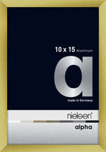 Nielsen Alpha 30x40 Brushed Gold